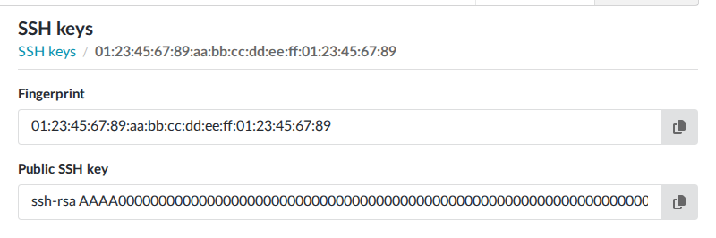 Project SSH key details.