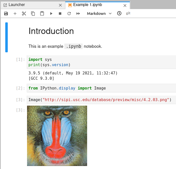 Example Jupyter notebook created on JupyterLab